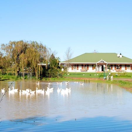 Hoopenburg Guesthouse Klapmuts Екстер'єр фото