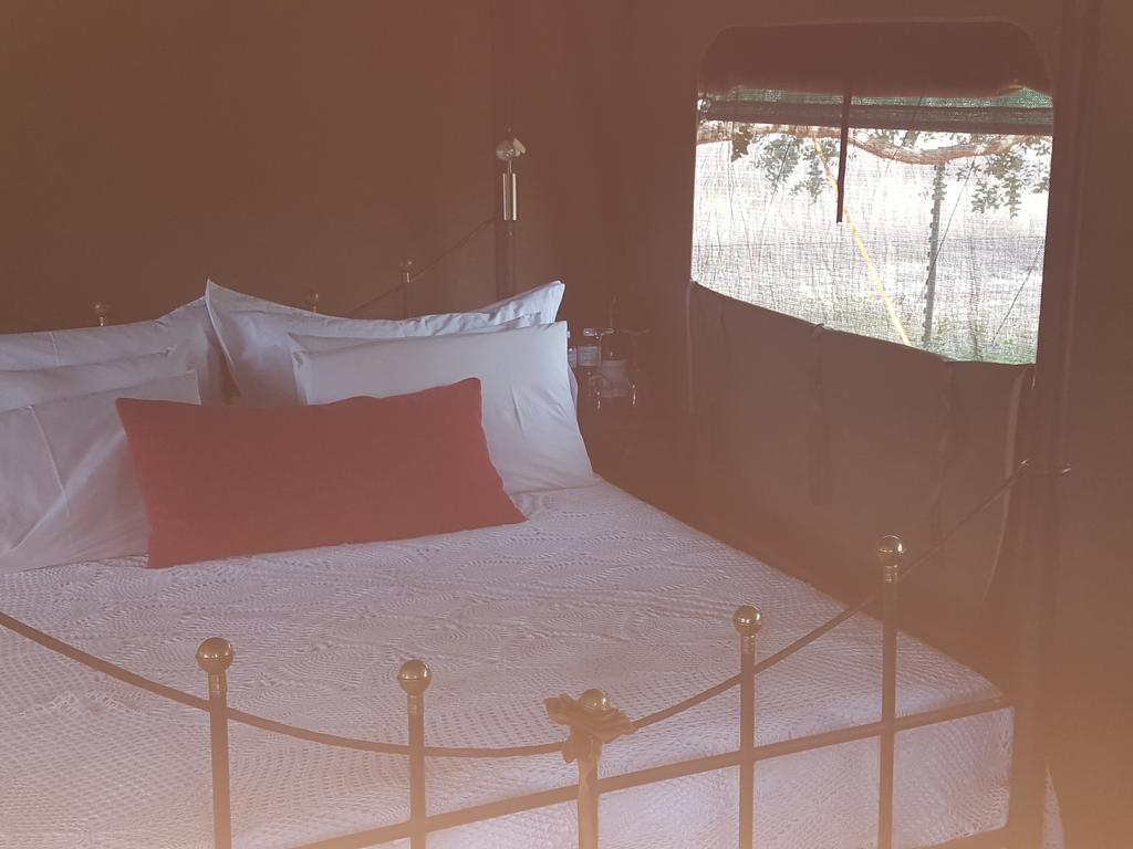 Hoopenburg Guesthouse Klapmuts Екстер'єр фото