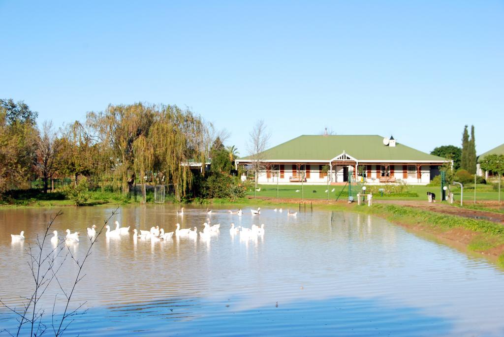 Hoopenburg Guesthouse Klapmuts Екстер'єр фото